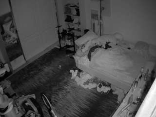 voyeurcam hornyhostel 02